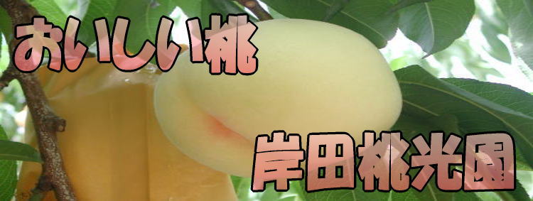 岸田桃光園